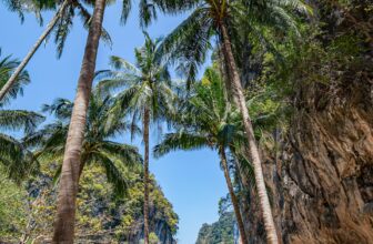 Unlock the Secrets to Finding the Perfect All-Inclusive Holiday Package