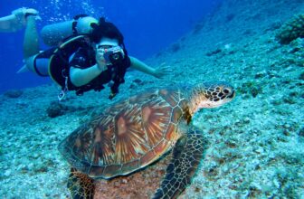 scuba diving holiday packages