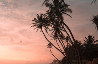 Holidays to Exotic Destinations