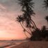 Unlock the Secrets to Finding the Perfect All-Inclusive Holiday Package